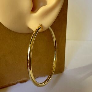 Medium size hoop earrings